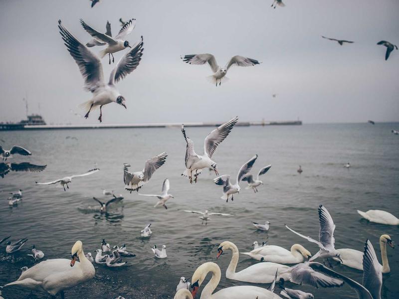 sudoku android app screenshot 3