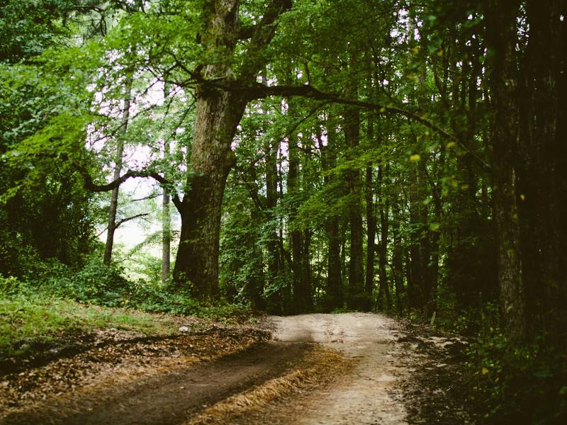 play sudoku online free screenshot 1